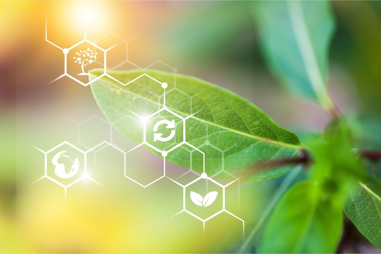 Biological agriculture and living plant systems