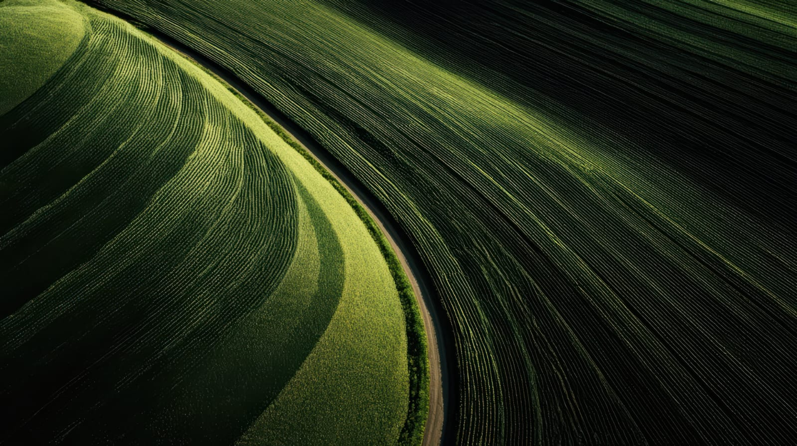 Clean energy within a green agricultural landscape